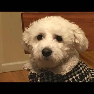 Meet your Posher, Lourdes